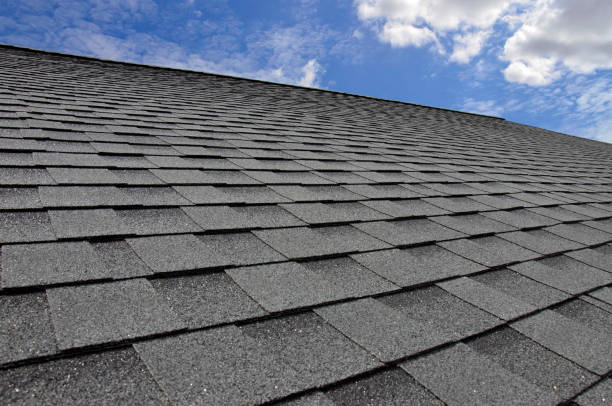 Best Roof Moss and Algae Removal  in Brightwood, VA