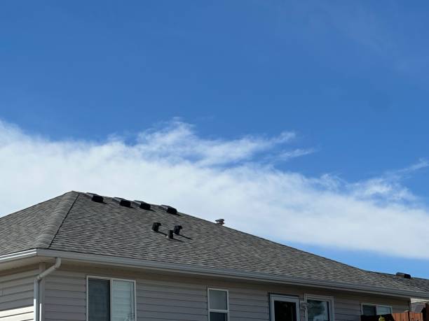 Best Asphalt Shingles Roofing  in Brightwood, VA